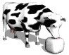 animaux-vaches-00037.gif